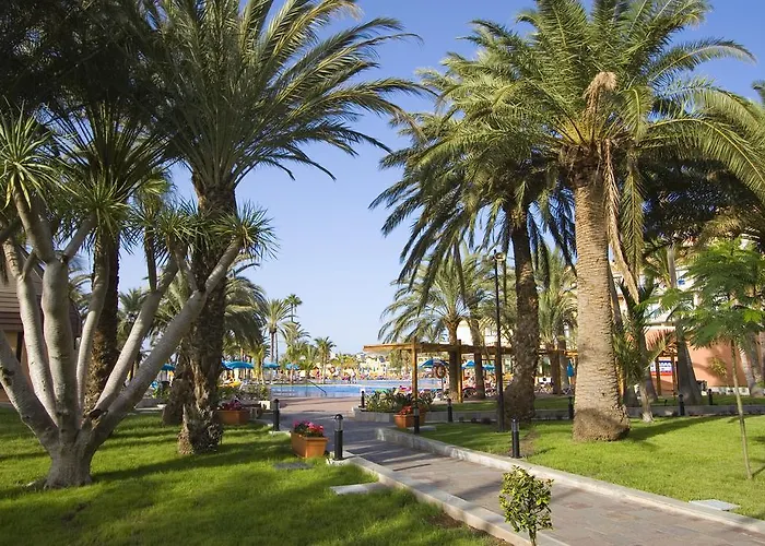 Grupotel Orquidea Hotel